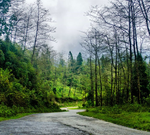 8 Days North East India Tour